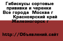 Гибискусы сортовые, прививки и черенки - Все города, Москва г.  »    . Красноярский край,Железногорск г.